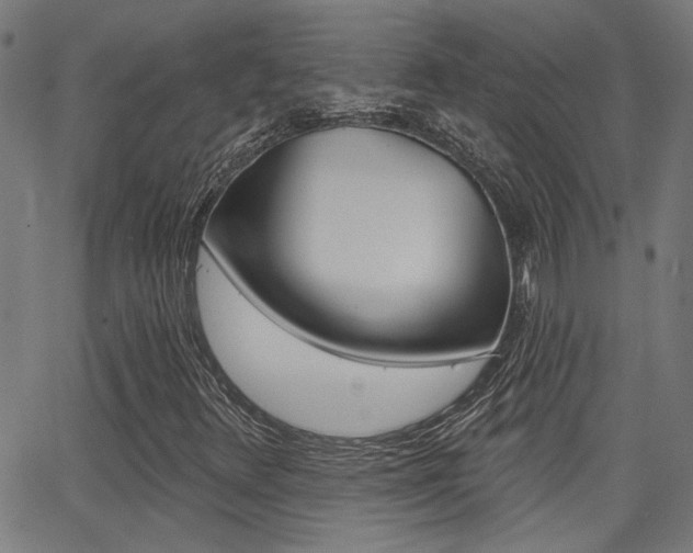 X0000062911348200601131055