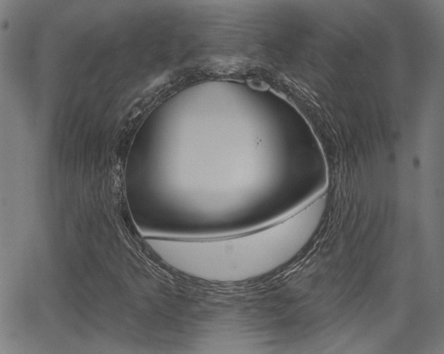 X0000062911349200601131055