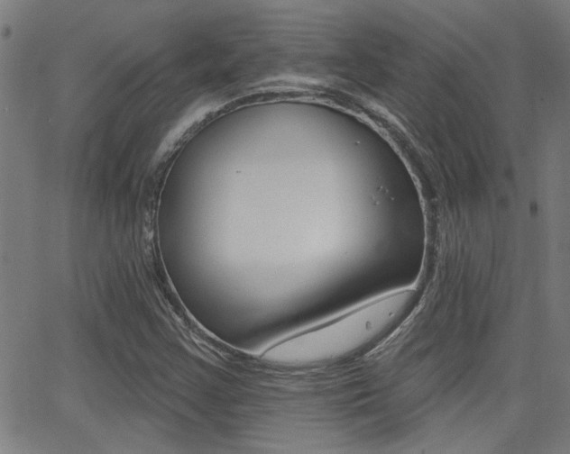 X0000062911355200601131055