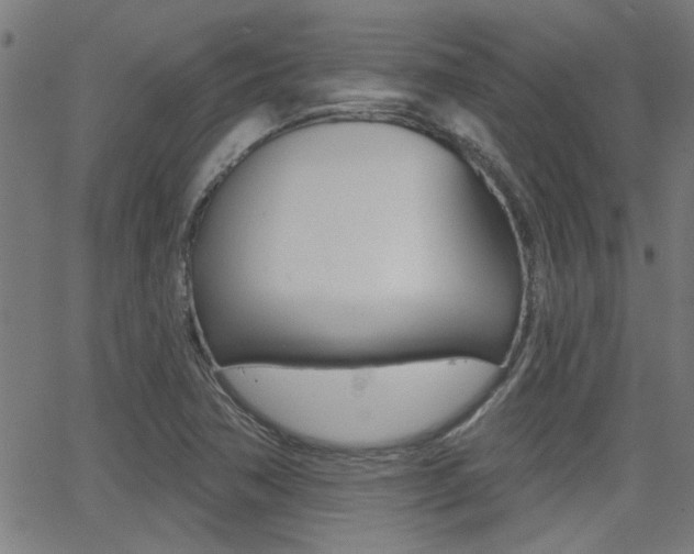 X0000062911362200601131055