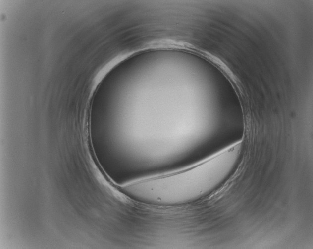 X0000062911387200601131055