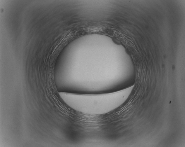 X0000062911393200601131054
