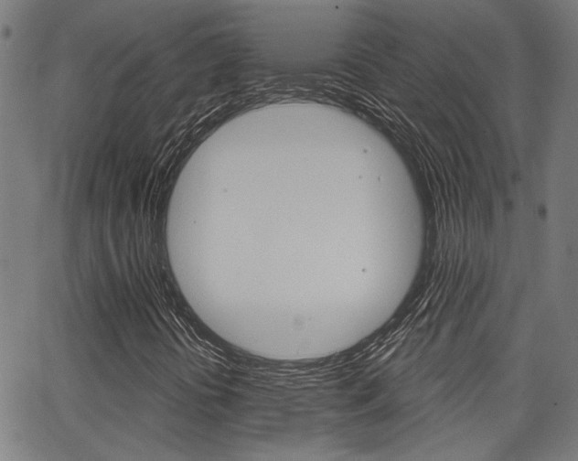 X0000062911394200601131054