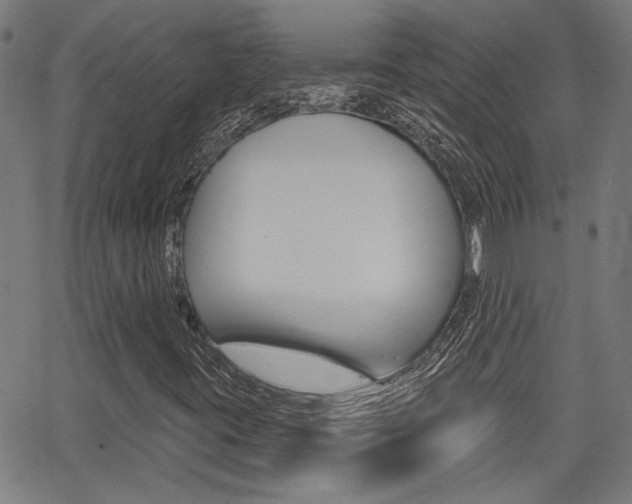 X0000062911395200601131054