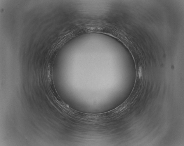 X0000062911396200601131054