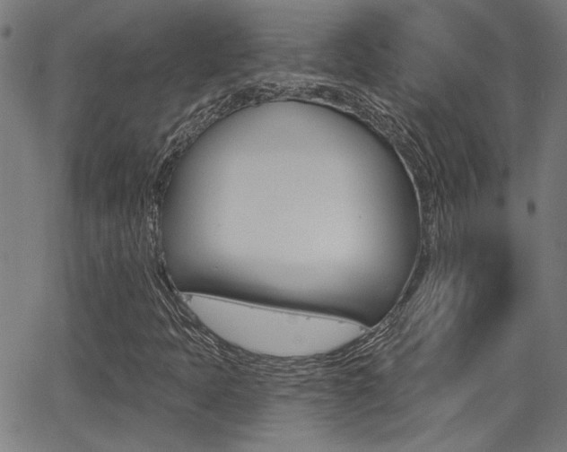 X0000062911397200601131054