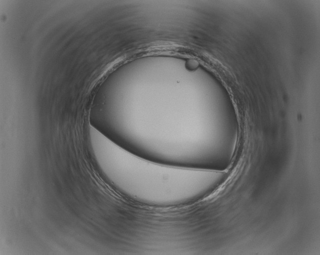 X0000062911401200601131054