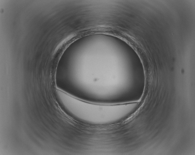 X0000062911402200601131054