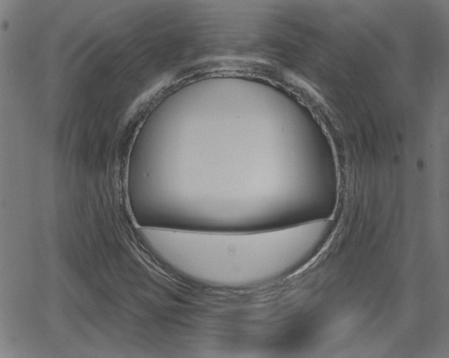 X0000062911403200601131054