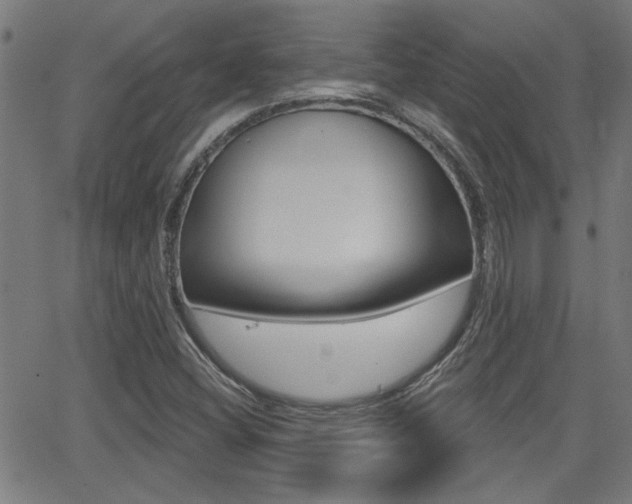 X0000062911404200601131054