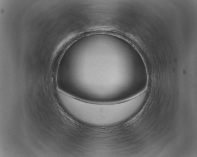 X0000062911406200601131054