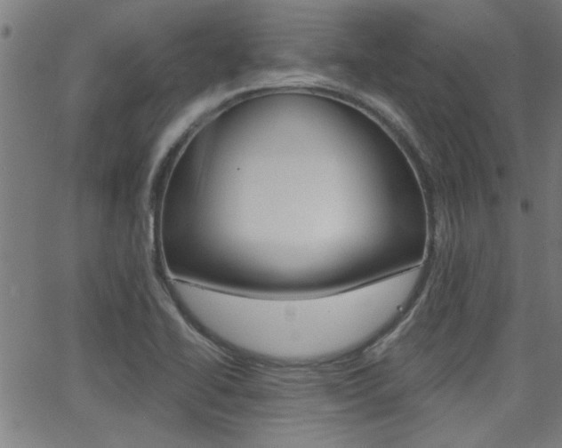 X0000062911414200601131054