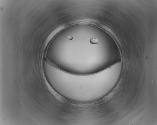 X0000062911426200601131054