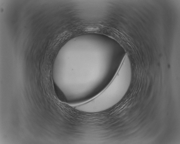 X0000062911441200601131054
