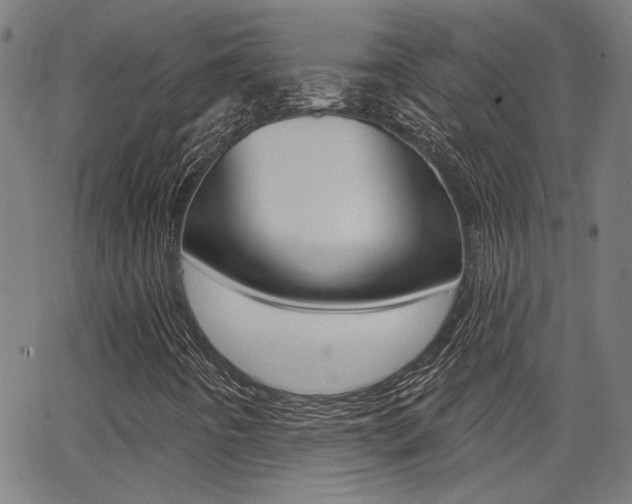 X0000062911442200601131054