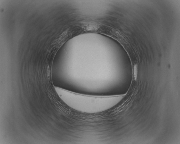 X0000062911443200601131054