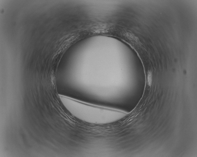 X0000062911444200601131054