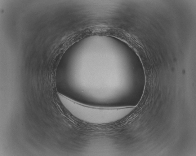 X0000062911445200601131054