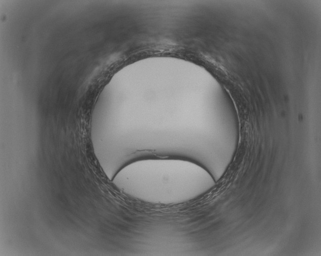 X0000062911447200601131054