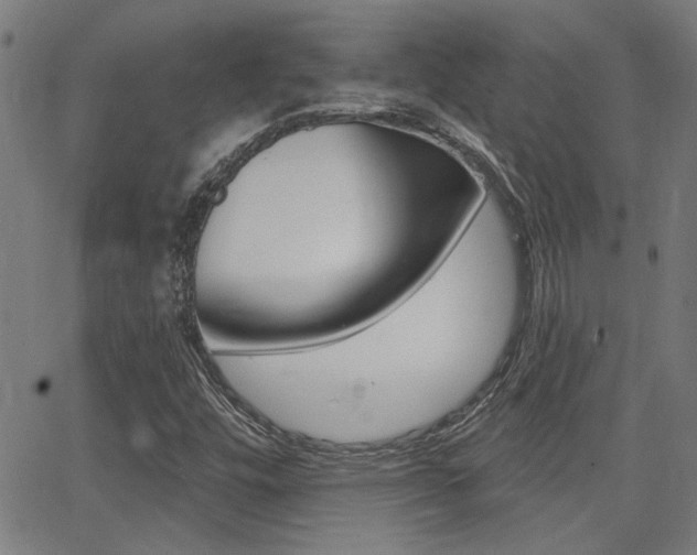 X0000062911448200601131054