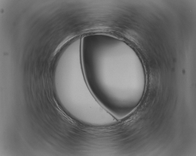 X0000062911450200601131054