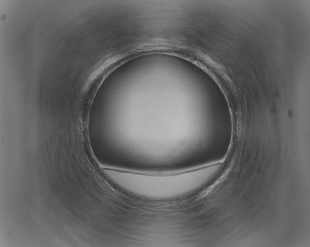 X0000062911453200601131054