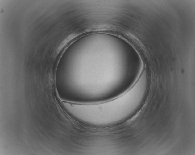 X0000062911457200601131053