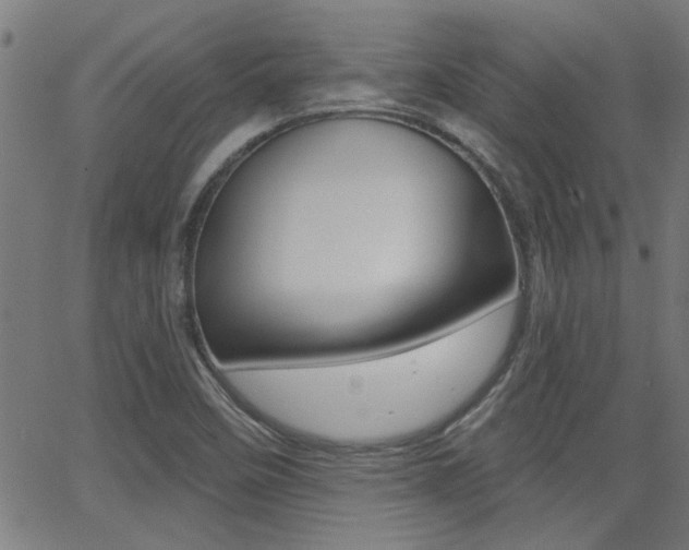X0000062911458200601131053