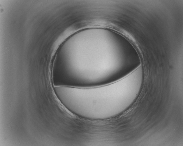 X0000062911480200601131053