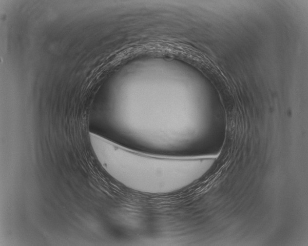 X0000062911490200601131052
