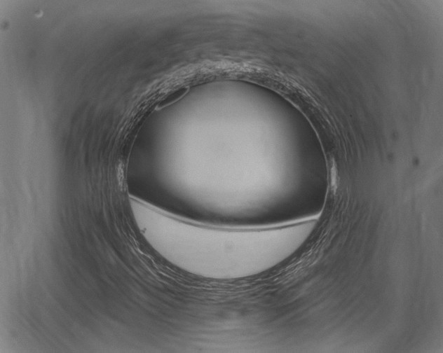 X0000062911492200601131052