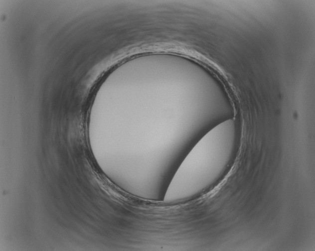 X0000062911498200601131052