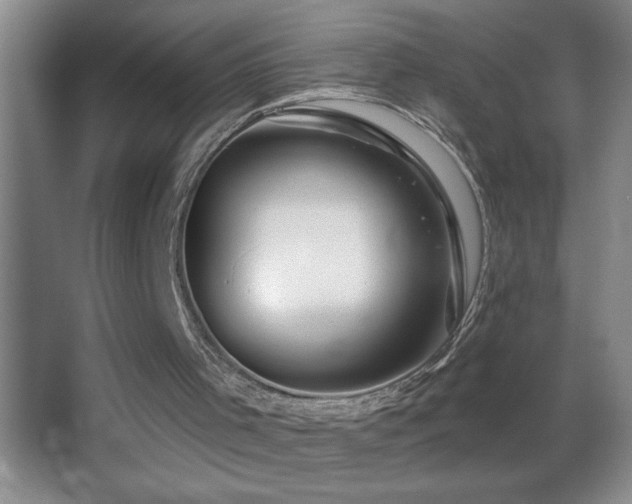 X0000062910001200601131438