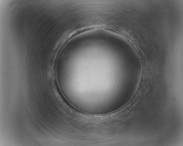 X0000062910002200601131438