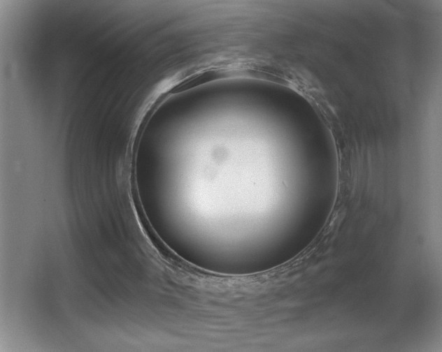 X0000062910003200601131438