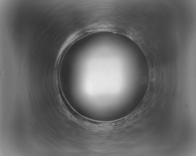 X0000062910004200601131438