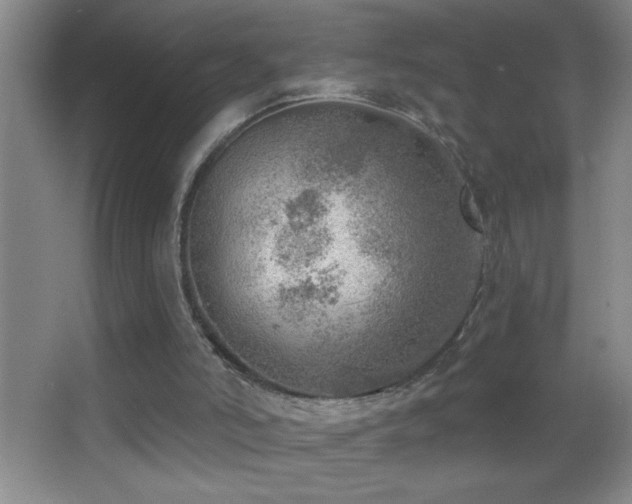 X0000062910006200601131438