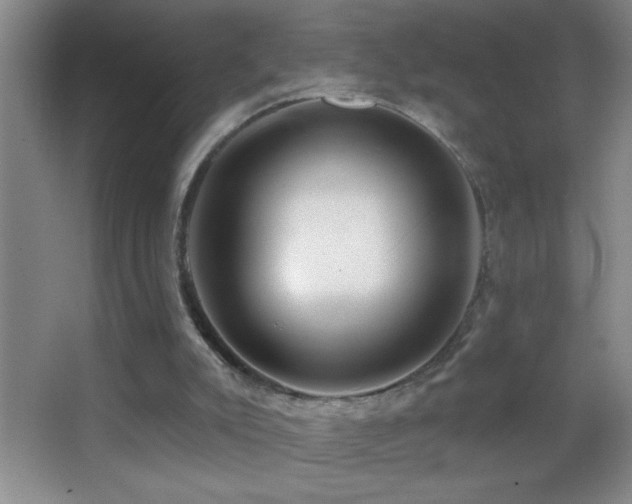 X0000062910007200601131438