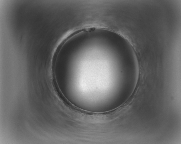 X0000062910008200601131438