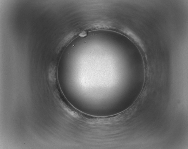 X0000062910009200601131438