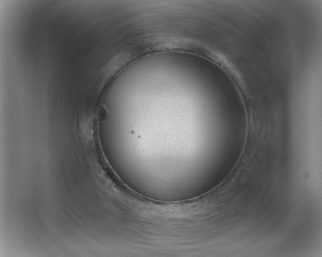 X0000062910010200601131438