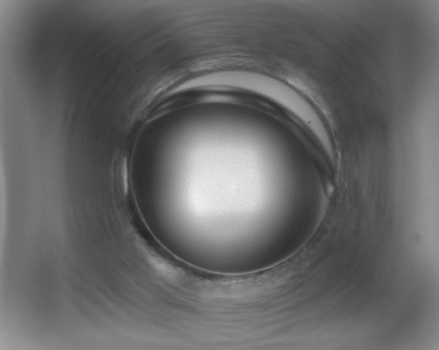 X0000062910013200601131438