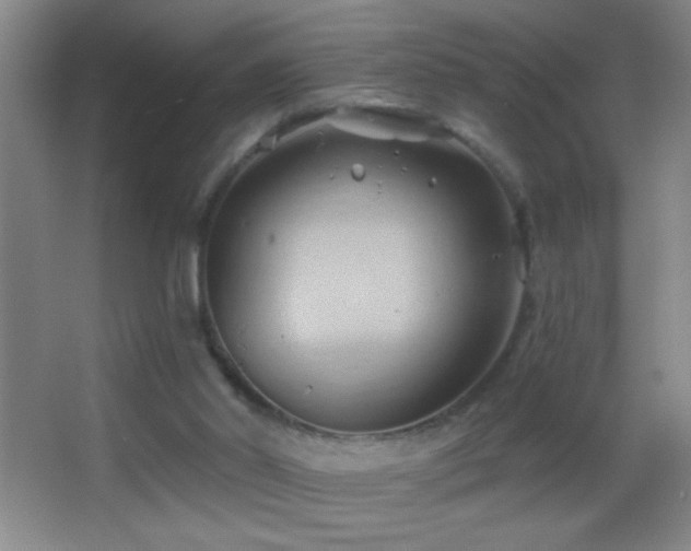 X0000062910014200601131438