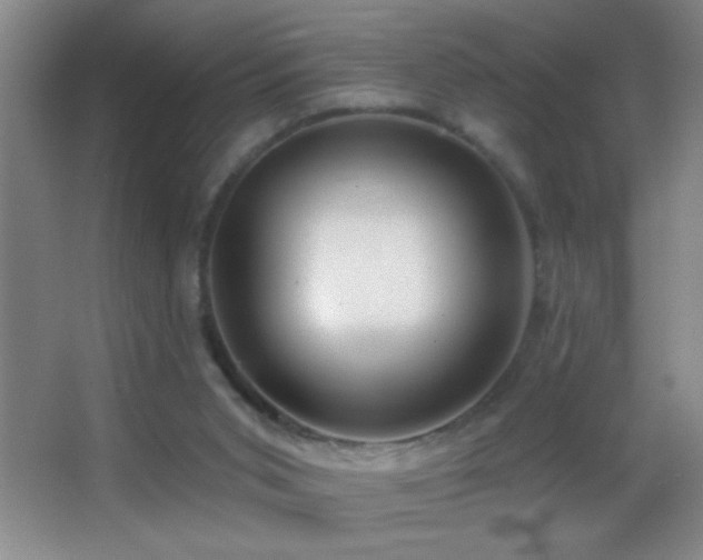 X0000062910015200601131438