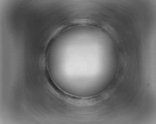 X0000062910016200601131438