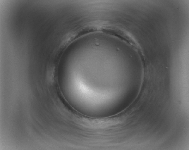 X0000062910018200601131438