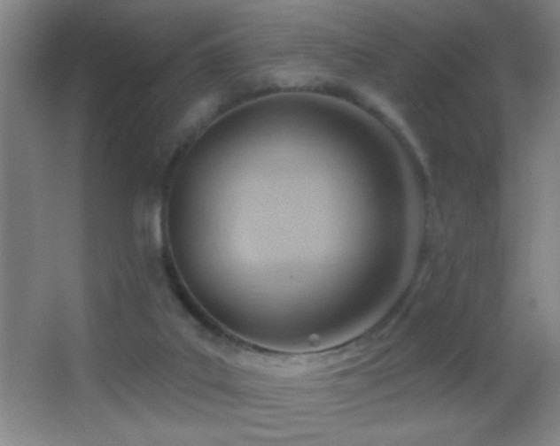 X0000062910019200601131438