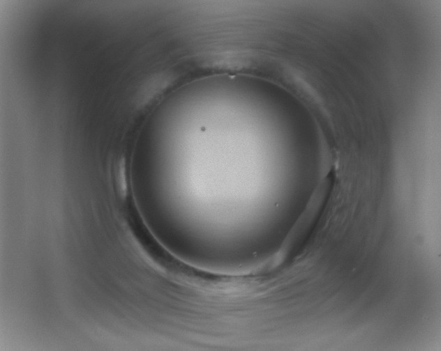 X0000062910020200601131438