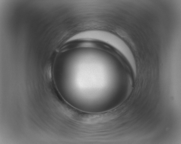 X0000062910021200601131438