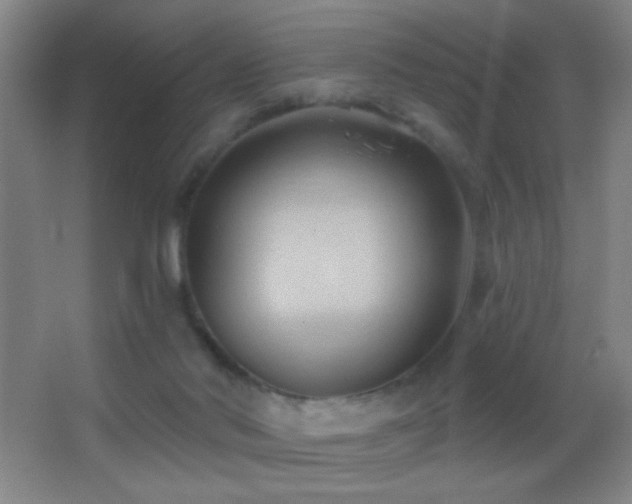 X0000062910022200601131438